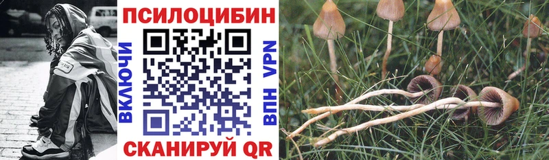Псилоцибиновые грибы Psilocybine cubensis  даркнет какой сайт  Тимашёвск  закладки 
